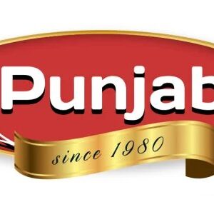 punjabi-gpsr